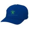 Adult Baseball Cap - Six Panel Twill Thumbnail