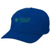 Adult Baseball Cap - Six Panel Twill Thumbnail